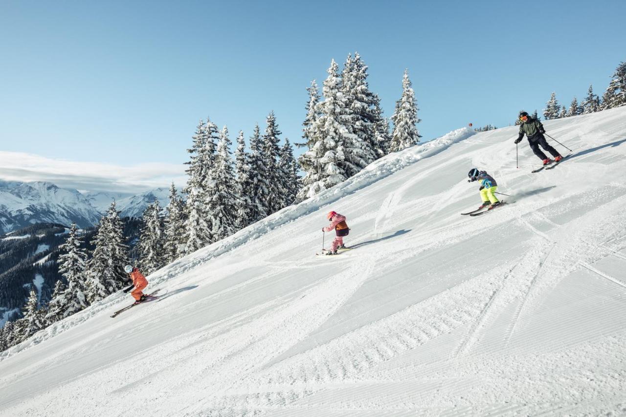 Alpenparks Chalet & Apartment Areitxpress 滨湖采尔 外观 照片